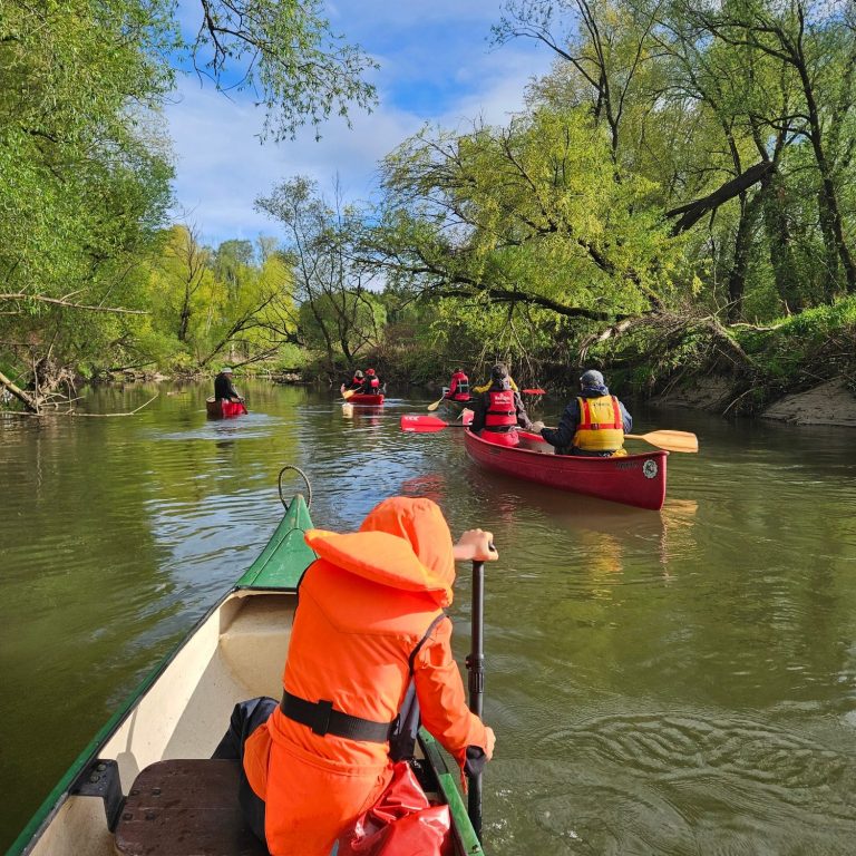 Gruppe von Kanufahrern auf einem ruhigen Fluss, umgeben von üppigem Grün.